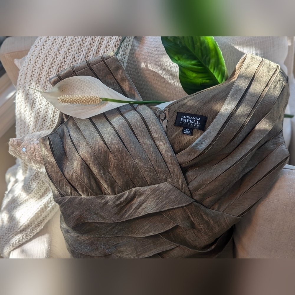 Adrianna Papell Champagne Taupe Layered Sleeveless V- Neck Fully Lined Size 4 - Picture 6 of 17